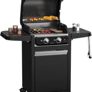 Bumfeldt ElectricPro Barbecue Grill électrique