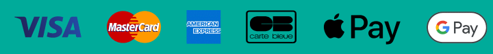 Visa Mastercard Amex CB Apple Pay Google Pay